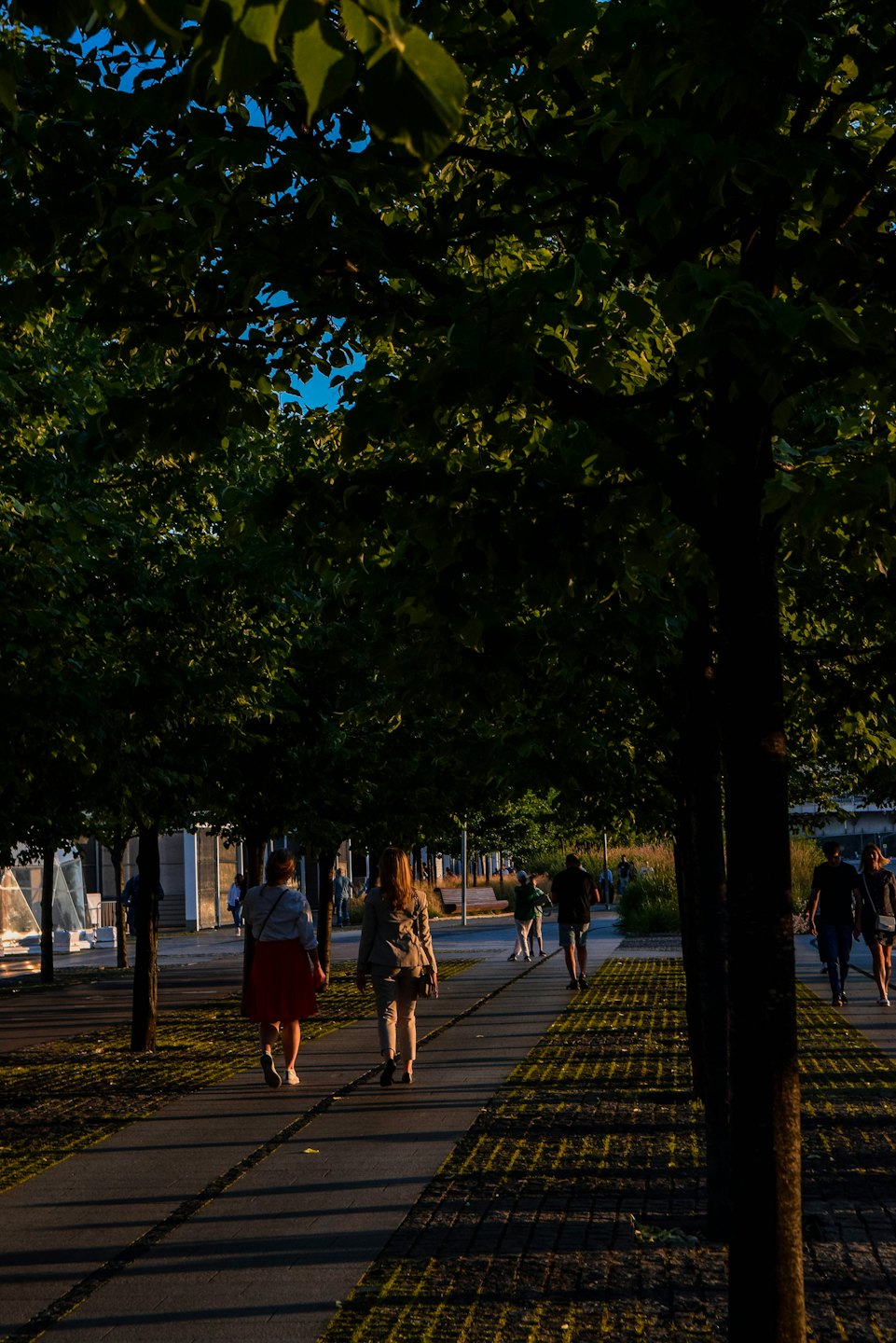 Menschen spazieren auf einem baumgesäumten Weg im Park.