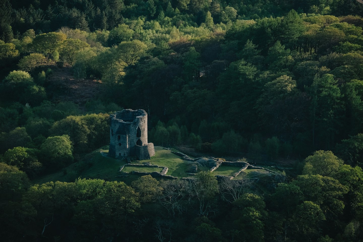 Steinerne Burgruine mit Rundturm auf einem bewaldeten Hügel.